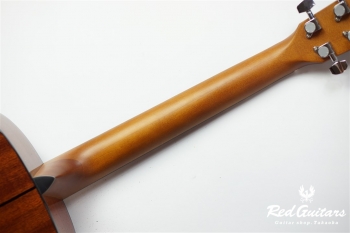 F-351I - Red Brown Sunburst